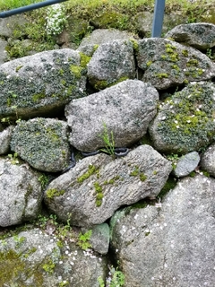 20170409204832791.jpg