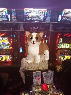 20170706200154950.jpg