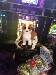 20170706200201701.jpg