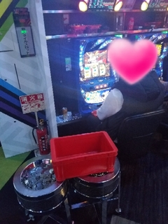 20180311192226154.jpg