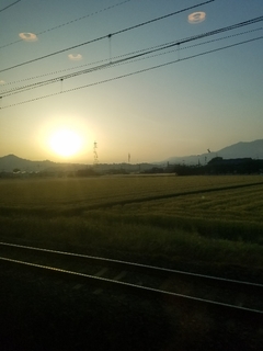 20180514192949620.jpg