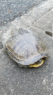 20180610190322297.jpg